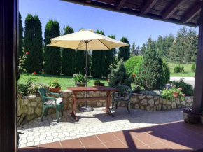 Vila Tana Zlatibor